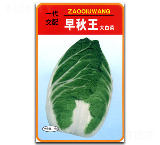 早秋王-白菜種子-官明天成
