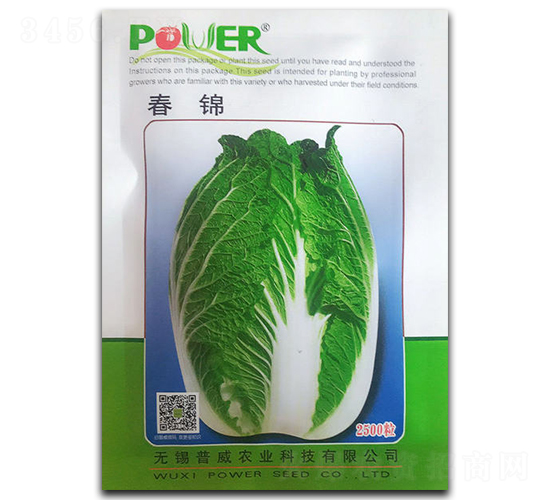 春錦-白菜種子-官明天成