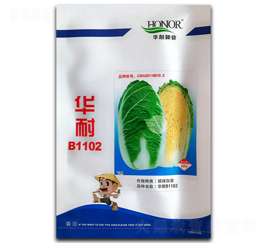 華耐B1102-白菜種子-官明天成