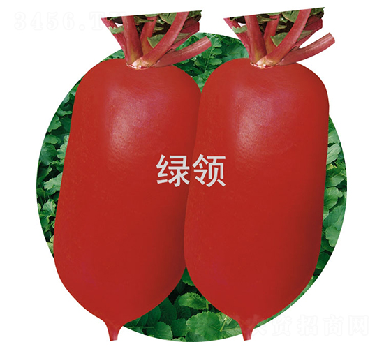 ļt2̖-}N-GI(lng)NI(y)