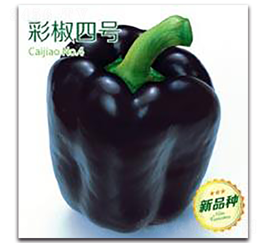 彩椒四號-彩椒種子-三主糧
