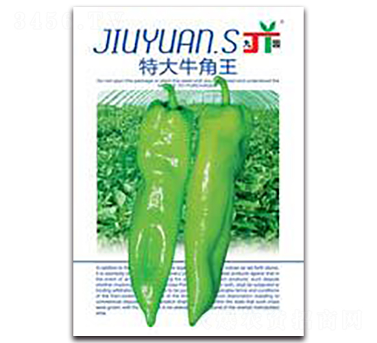 特大牛角王-辣椒種子-三主糧