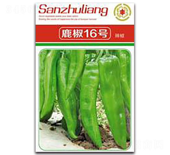 鹿椒16號青椒-辣椒種子-三主糧