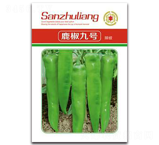 鹿椒九號青椒-辣椒種子-三主糧
