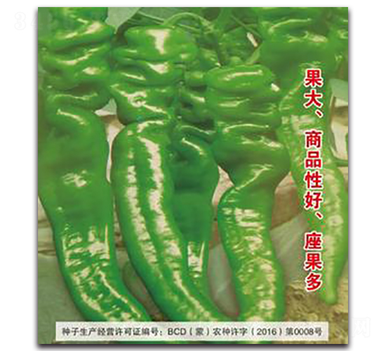 鹿椒29-辣椒種子-三主糧
