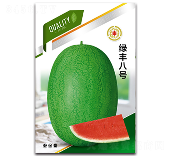 綠豐八號-西瓜種子-三主糧