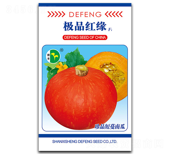 紅緣-南瓜種子-德豐種業(yè)
