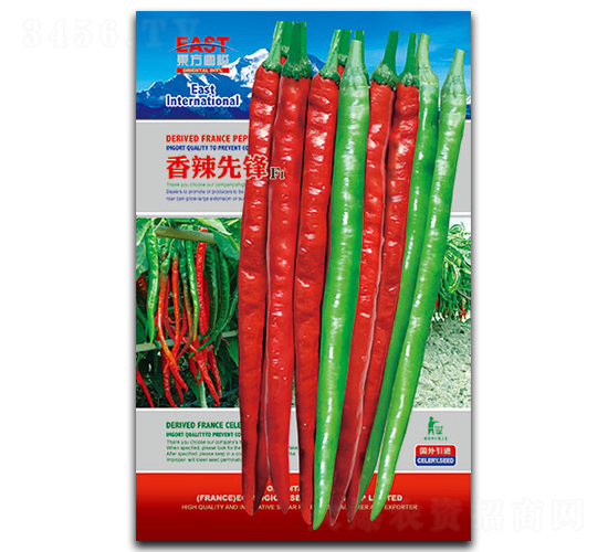 香辣先鋒-辣椒種子-祥瑞達(dá)