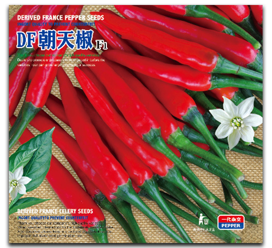 DF朝天椒-辣椒種子-祥瑞達(dá)