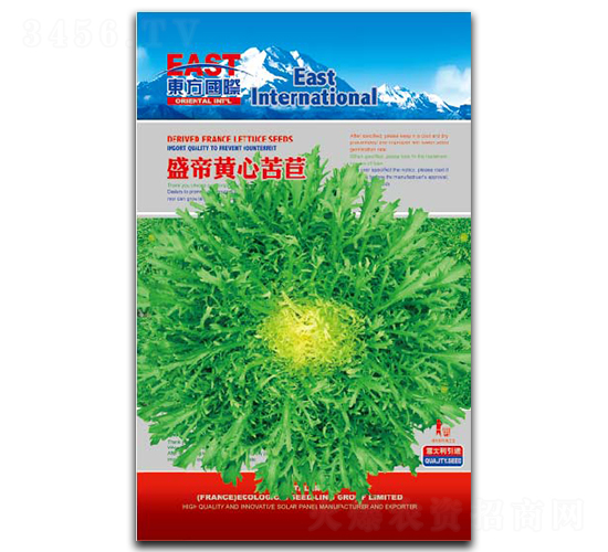 盛帝黃心苦苣-苦苣種子-祥瑞達