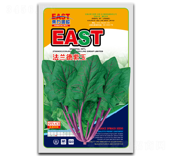 法蘭德紫玉-油菜種子-祥瑞達