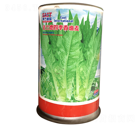 法蘭德四季香油麥（罐裝）-油麥菜種子-祥瑞達