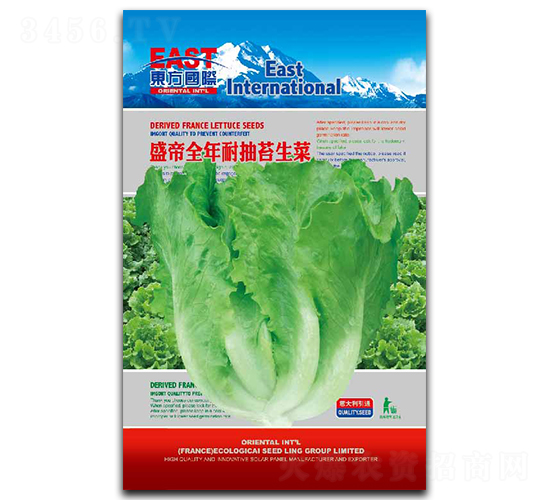 盛帝全年耐抽苔生菜-生菜種子-祥瑞達(dá)