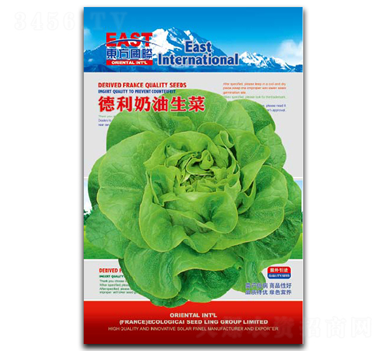 德利奶油生菜-生菜種子-祥瑞達(dá)