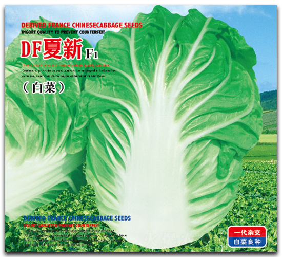 DF夏新F1（罐）-白菜種子-祥瑞達(dá)