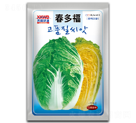 春多福-白菜種子-祥瑞達(dá)
