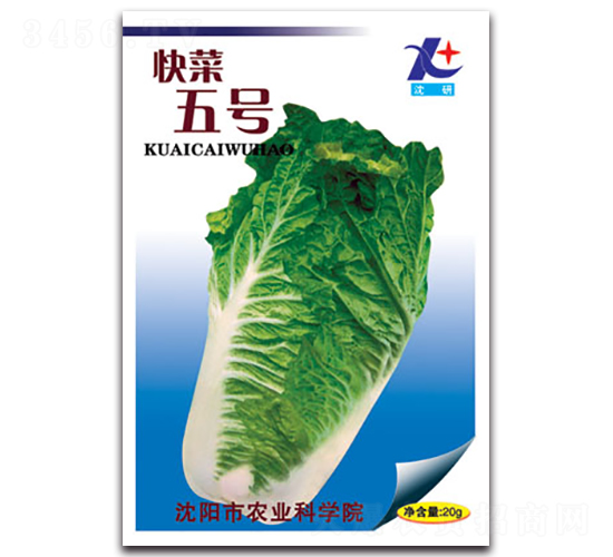 快菜五號(hào)-小白菜種子-豐農(nóng)農(nóng)業(yè)