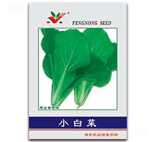 小白菜-白菜種子-豐農(nóng)農(nóng)業(yè)