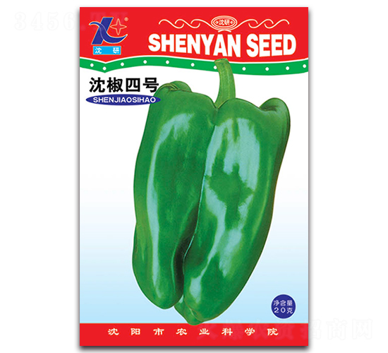 沈椒四號-辣椒種子-豐農農業(yè)