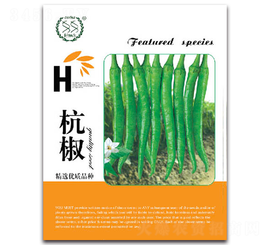 杭椒-辣椒種子-豐農(nóng)農(nóng)業(yè)