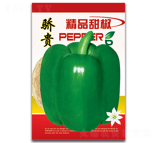 驕貴-辣椒種子-豐農(nóng)農(nóng)業(yè)