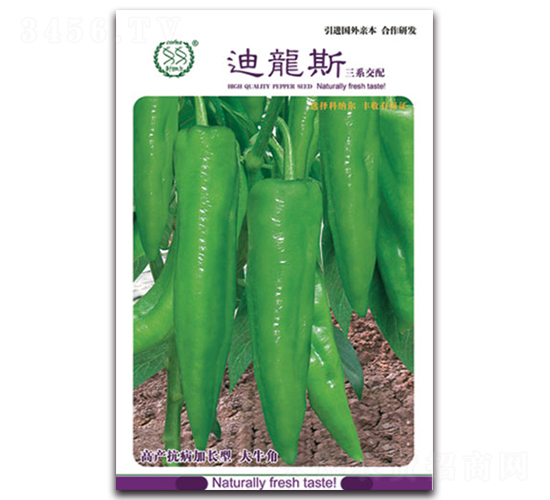迪龍斯-辣椒種子-豐農農業(yè)