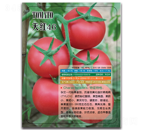 天紅46-番茄種子-多美農(nóng)