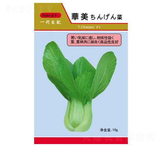 華美-青菜種子-凱地農(nóng)業(yè)