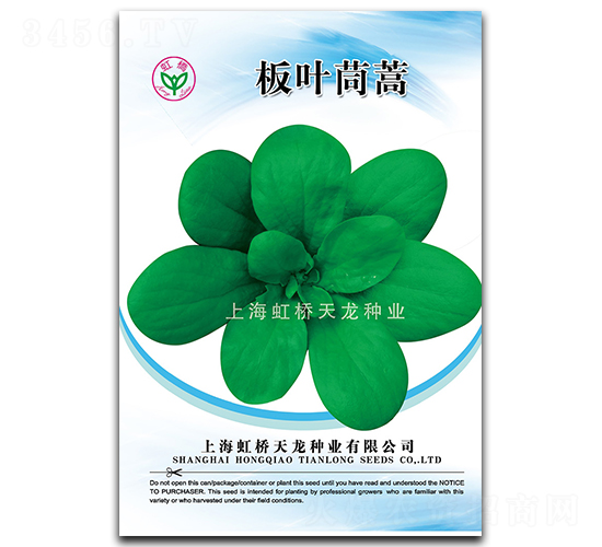 板葉茼蒿-茼蒿種子-天龍種業(yè)