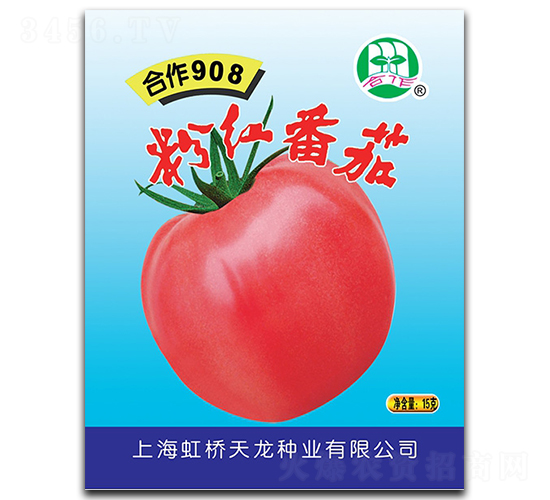 合作908-番茄種子-天龍種業(yè)