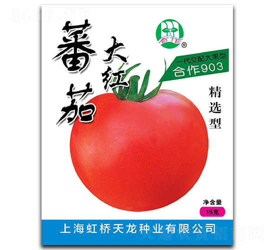 合作903-番茄種子-天龍種業(yè)