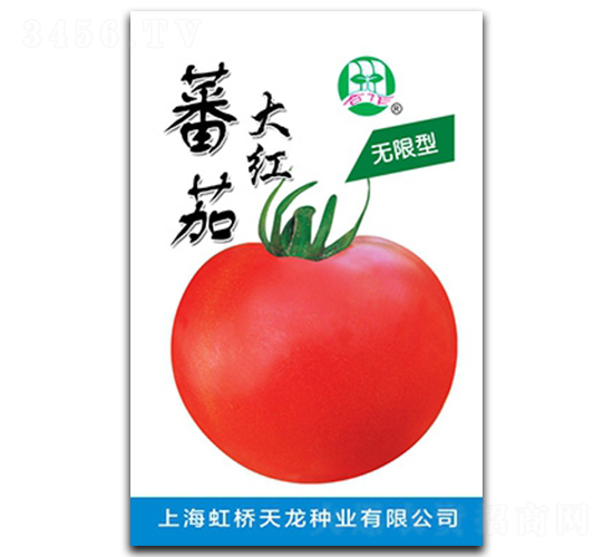 無(wú)限型大紅番茄-番茄種子-天龍種業(yè)