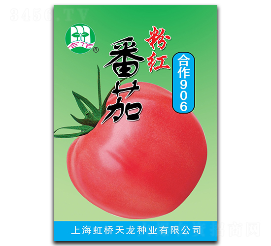 合作906-番茄種子-天龍種業(yè)