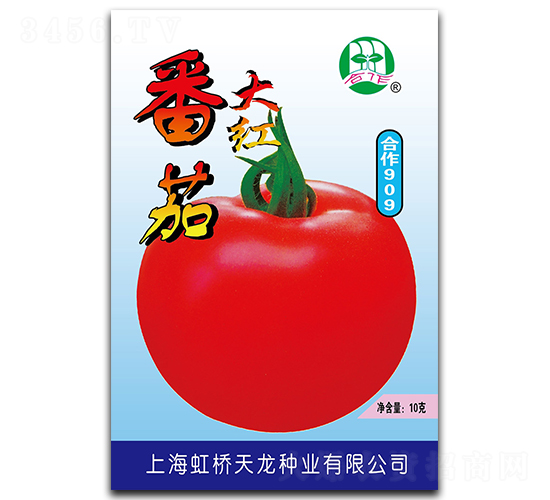 合作909-番茄種子-天龍種業(yè)