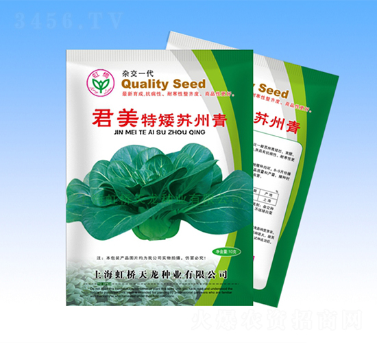 君美特矮蘇州青-青梗菜種子-天龍種業(yè)