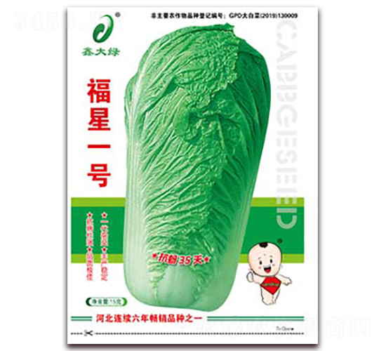 福星一號-白菜種子-鑫大綠