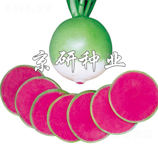 M(mn)üt-}N-