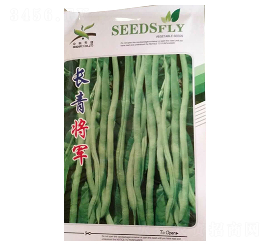長(zhǎng)青將軍-豆角種子-酒玉種業(yè)