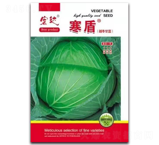 寒盾越冬甘藍-甘藍種子-宏達