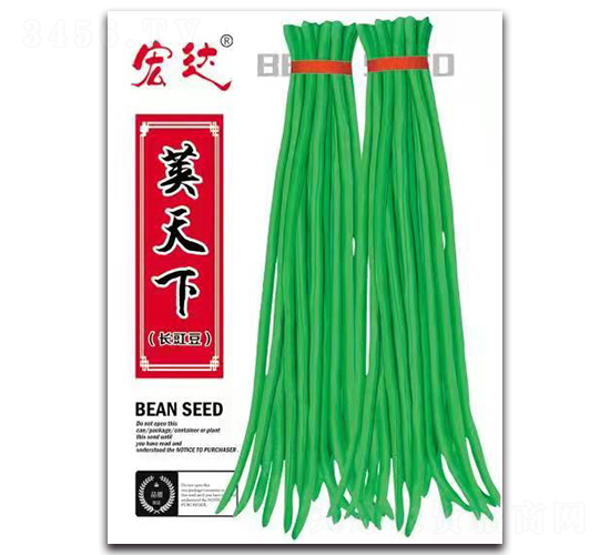 莢天下長(zhǎng)豇豆-豇豆種子-宏達(dá)