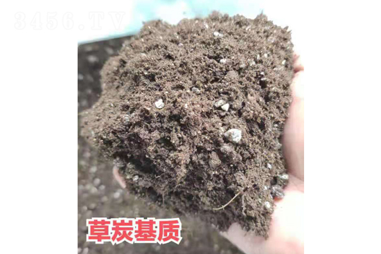 草炭基質(zhì)-潤(rùn)陽(yáng)農(nóng)業(yè)
