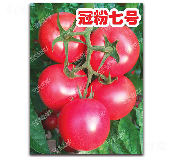 ڷ̖-۹ѷN-ϰľG