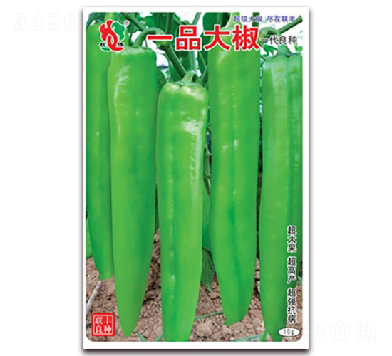 一品大椒-尖椒種子-聯(lián)豐種業(yè)