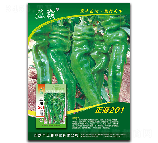 正湘201-線椒種子-正湘種業(yè)