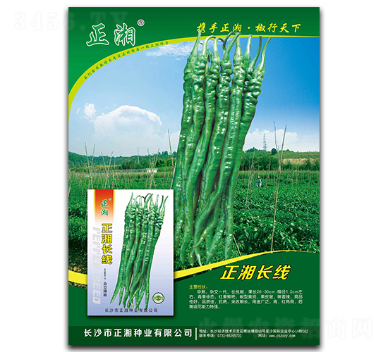 正湘長線-線椒種子-正湘種業(yè)
