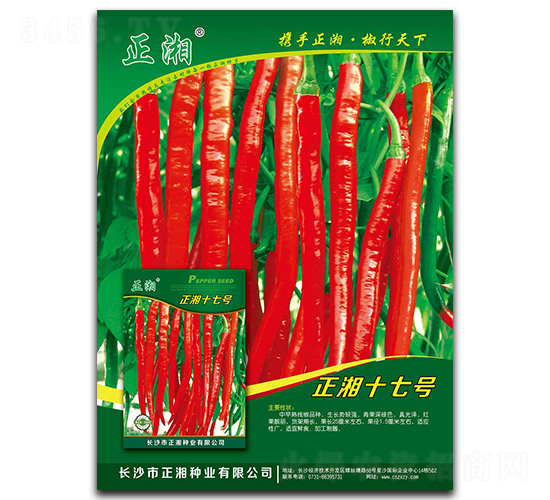 正湘十七號(hào)-線椒種子-正湘種業(yè)