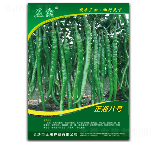 正湘八號-線椒種子-正湘種業(yè)