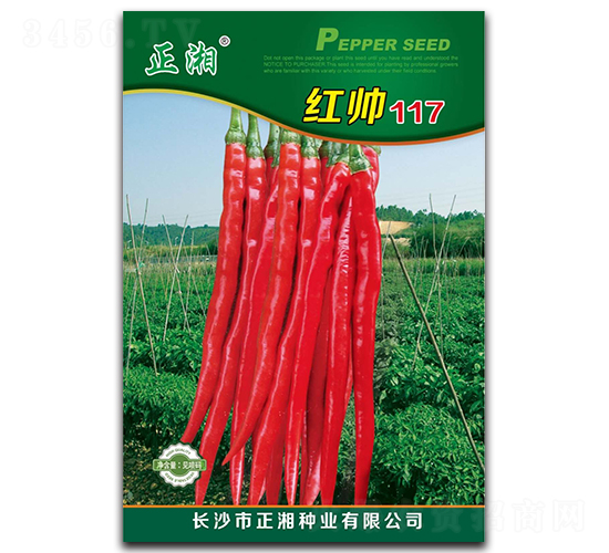 紅帥117-線(xiàn)椒種子-正湘種業(yè)