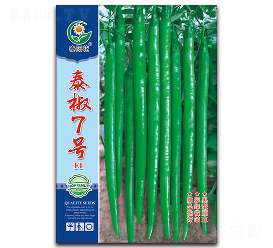 泰椒7號(hào)-青椒種子-映山龍