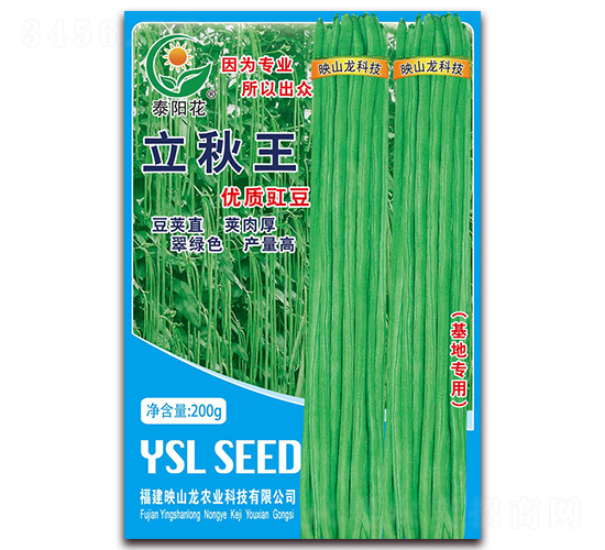 立秋王-豇豆種子-映山龍